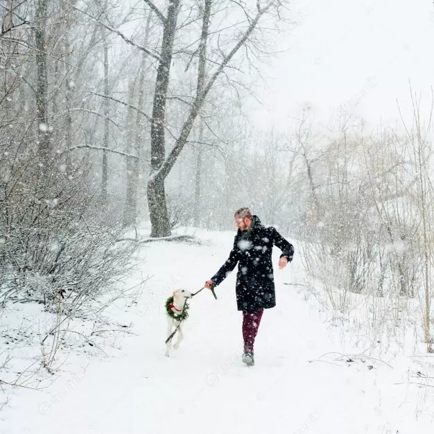 Зимова прогулянка із собакою