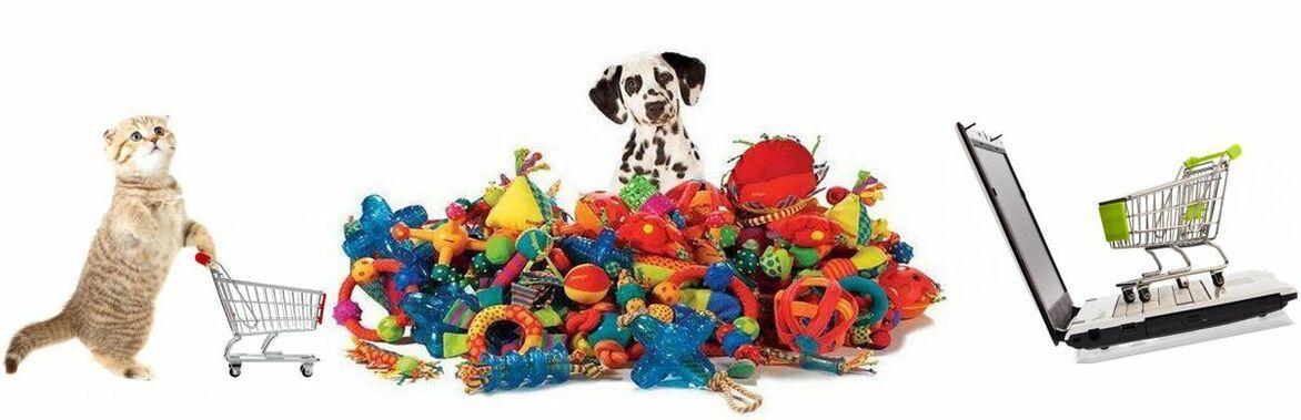 Бізнес-ідеї: Як створити свій інтернет-магазин зоотоварів