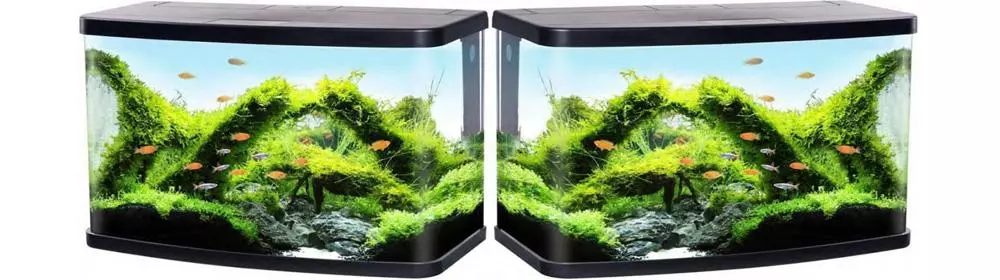 Який акваріум краще вибрати для ресторану та кафе Який акваріум краще вибрати для ресторану та кафе