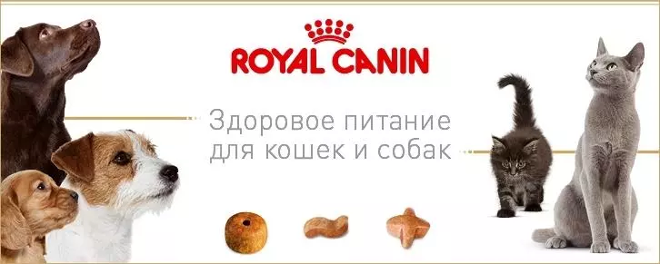 Найкращий корм для котів та собак - Royal Canin