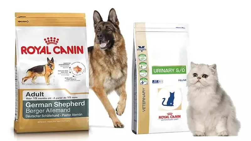 Кращі корми для собак - Актуальний рейтинг Кращі корми для собак - Актуальний рейтинг