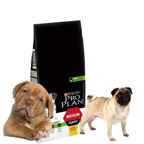 Кращі корми для собак - Актуальний рейтинг Кращі корми для собак - Актуальний рейтинг