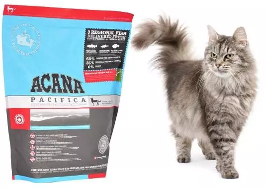 Чим правильно годувати кота - Поради щодо вибору корму Чим правильно годувати кота - Поради щодо вибору корму