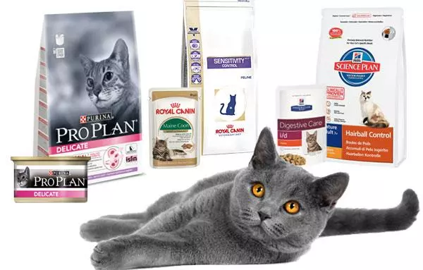 Чим правильно годувати кота - Поради щодо вибору корму Чим правильно годувати кота - Поради щодо вибору корму