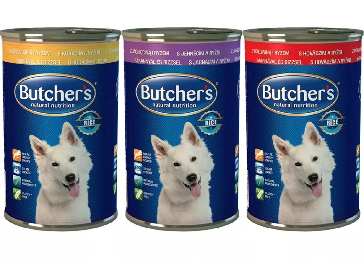 Чим правильно годувати кота - Поради щодо вибору корму Чим правильно годувати кота - Поради щодо вибору корму