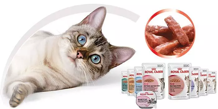 Рейтинг кращих кормів для котів - Огляд торгових марок