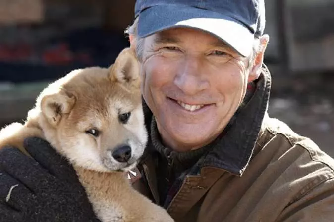 Кіно про собак - ТОП-11 фільмів