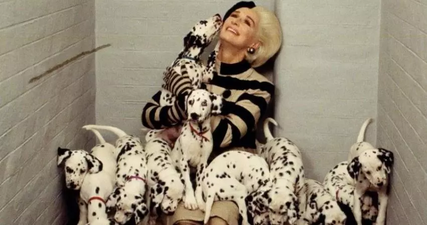 Кіно про собак - ТОП-11 фільмів