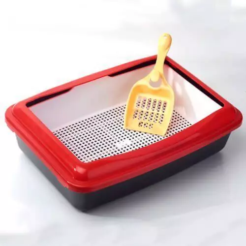 Як привчити кішку до лотка - Огляд