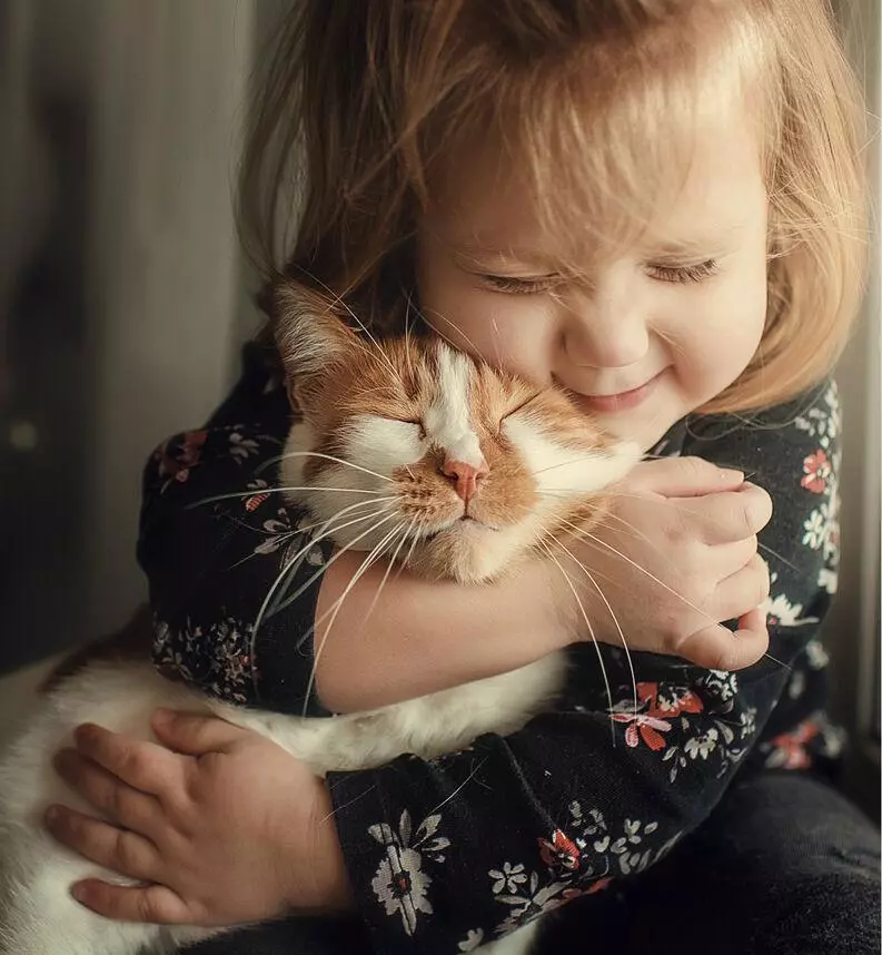 В якому віці краще робити кастрацію кота В якому віці краще робити кастрацію кота