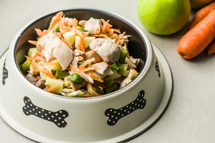 Все про корми холістик. Огляд найкращих брендів